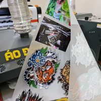 phôi in cuộn, phôi in pet kỹ thuật số, pet chuyển nhiệt, dtf, công nghệ in mới tại áo động lực