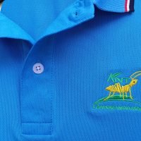 Đồng phục áo thun polo bo sọc màu xanh ya thêu logo